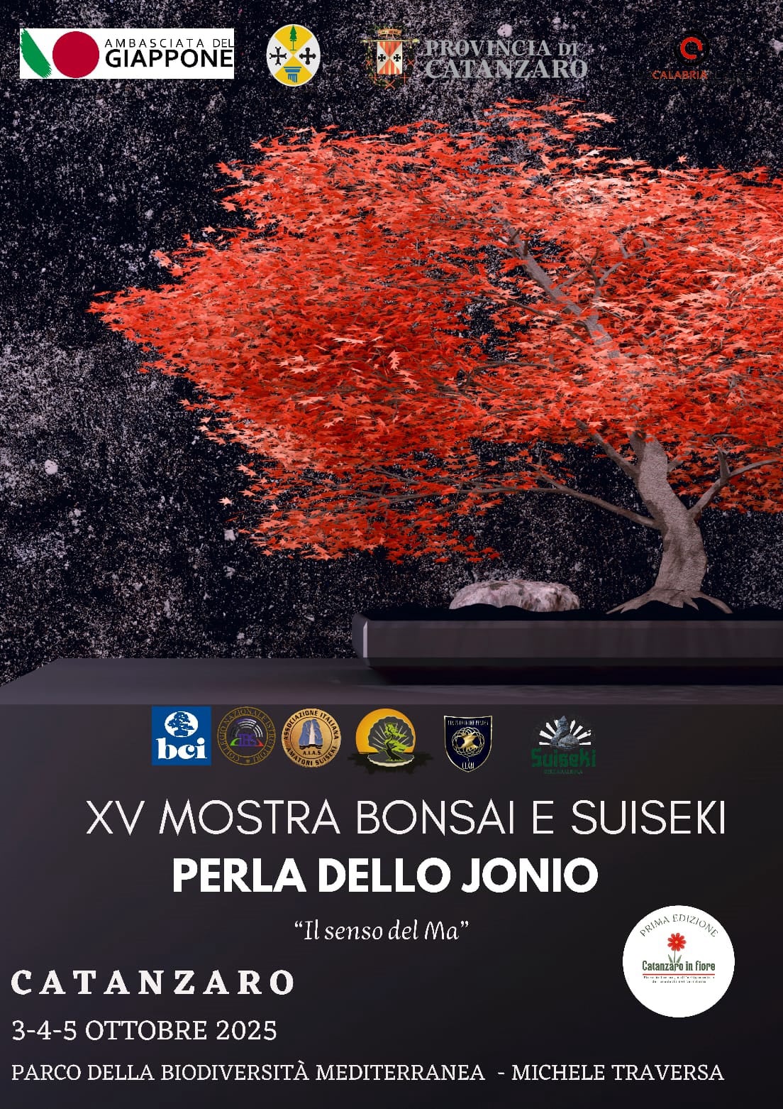 bonsai calabria