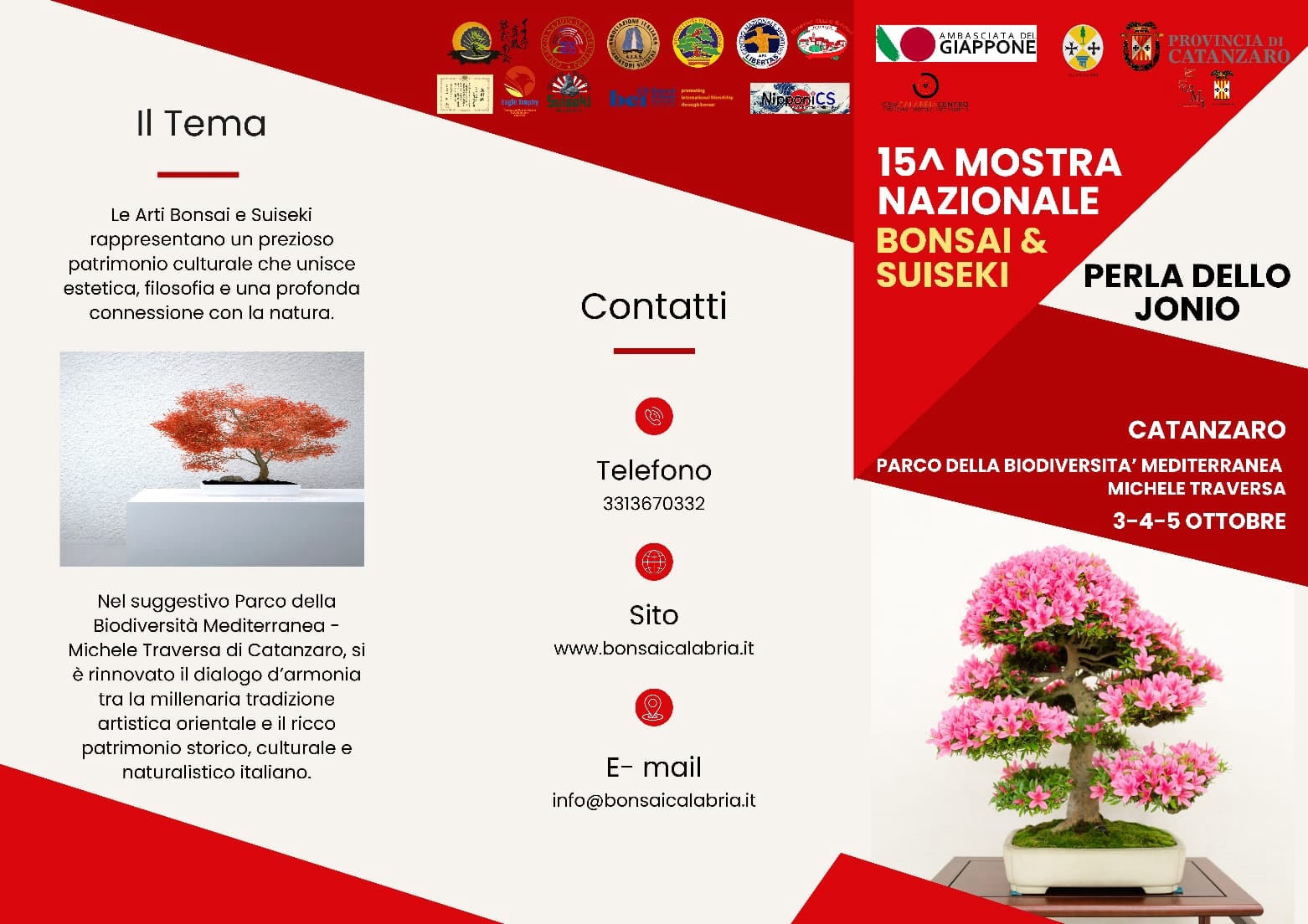 bonsai calabria