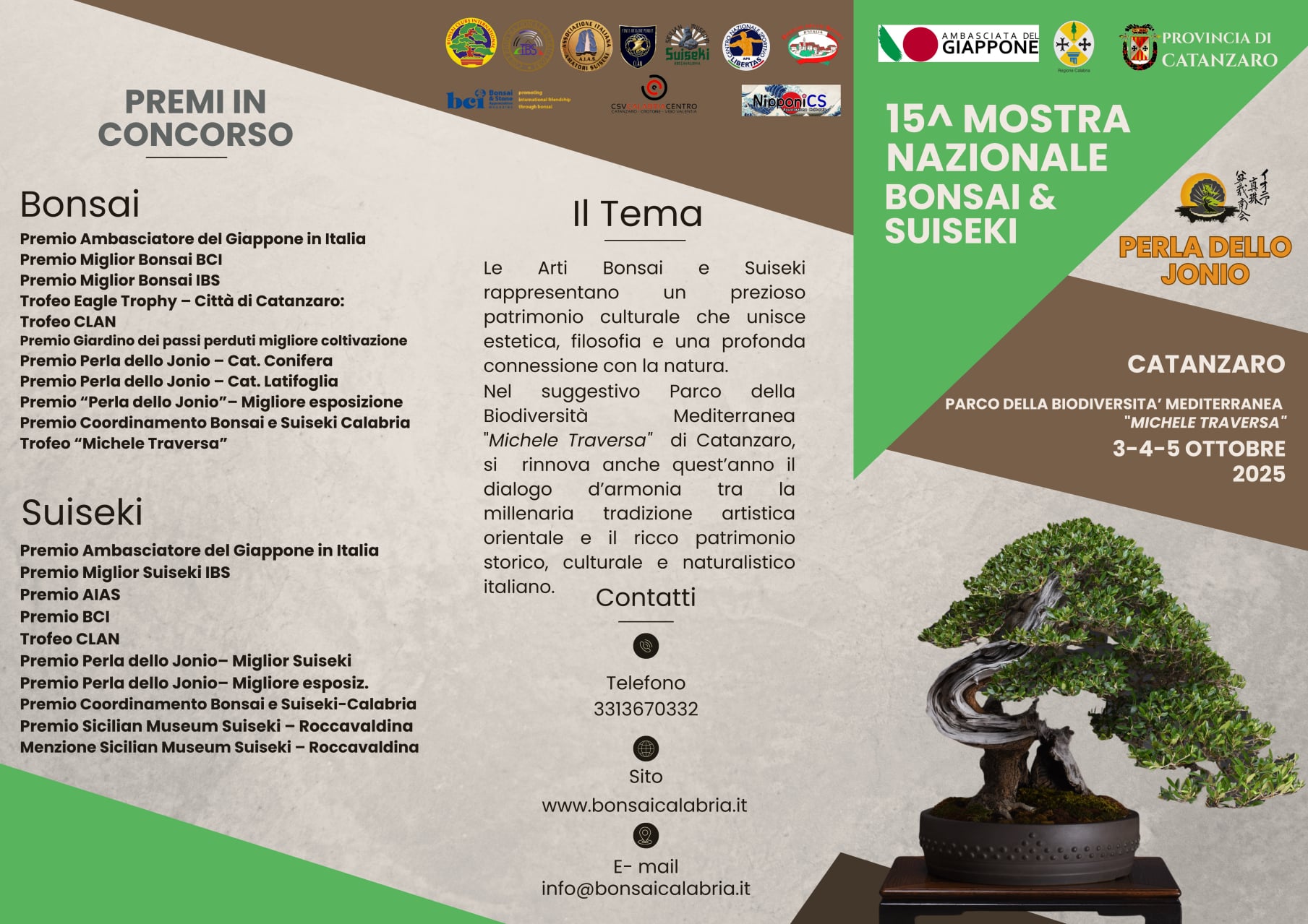 bonsai calabria